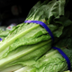 Illustration for article titled CDC Says Some Romaine Lettuce Is Now Safe to Eat—but Dont Break Out the Salad Tongs Yetem/em